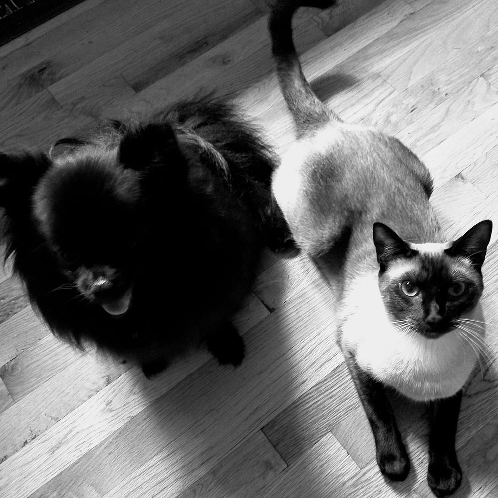 Meet your Posher, Nathalie